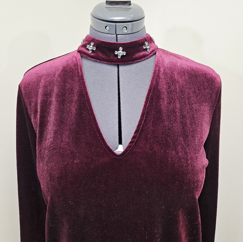 Lord & Taylor choker-neck, burgundy velvet top.